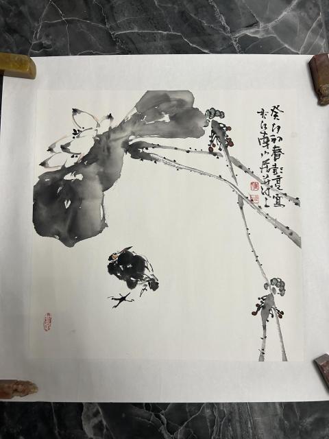 崖柏和侧柏是一个品种吗图片